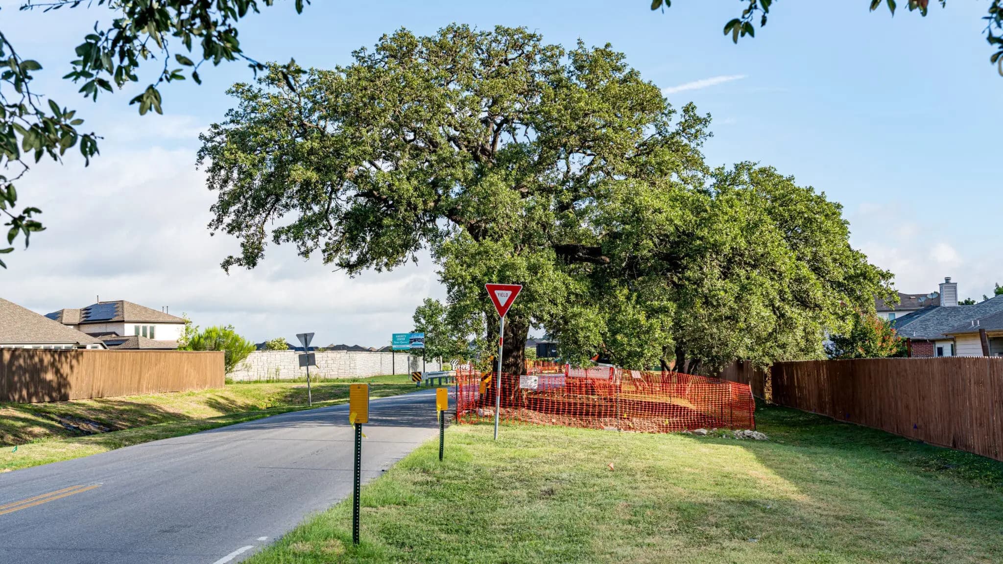 Live Oak area construction